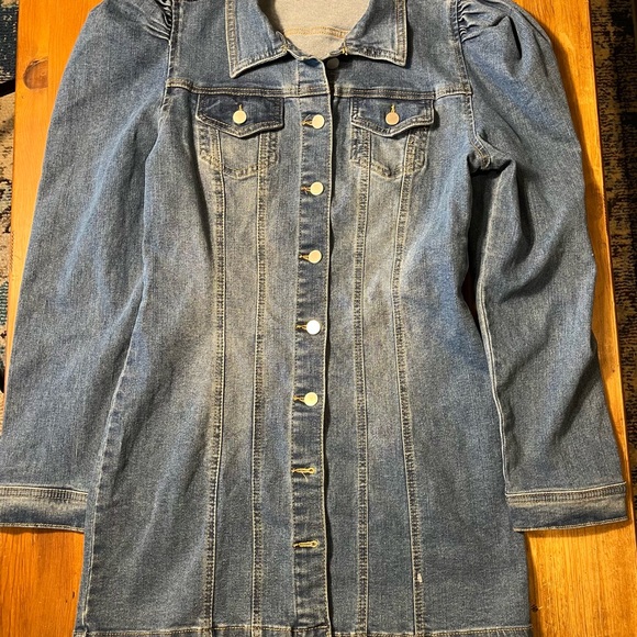 Tinseltown Blue Denim Dress with Puff Sleeves - Picture 1 of 5